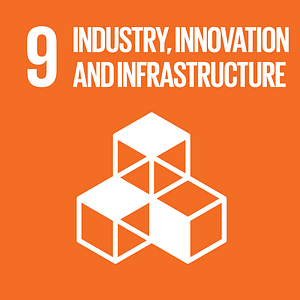 SDG #9 - Industry, Innovation & Infrastructure - The Global SDG Awards