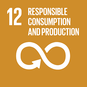 SDG #12 - Responsible Consumption & Production - The Global SDG Awards