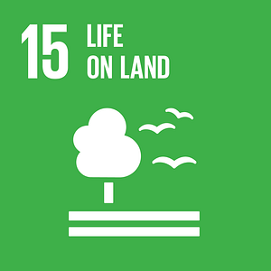 SDG #15 - Life On Land - The Global SDG Awards