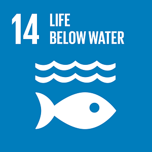 SDG #14 - Life Below Water - The Global SDG Awards