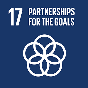 SDG #17 - Partnerships For The Goals - The Global SDG Awards