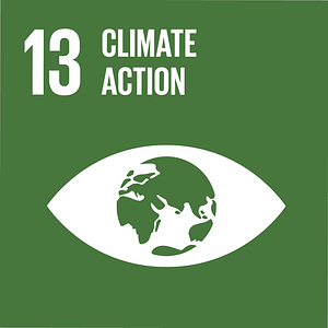 SDG #13 - Climate Action - The Global SDG Awards